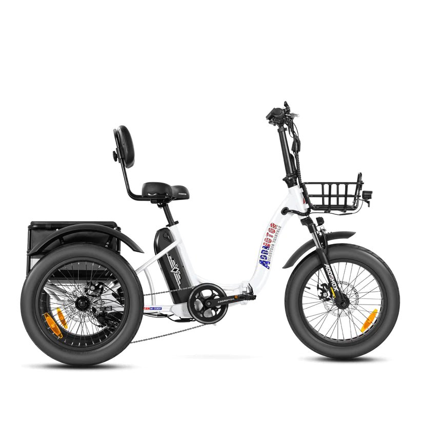 Motan top electric trike