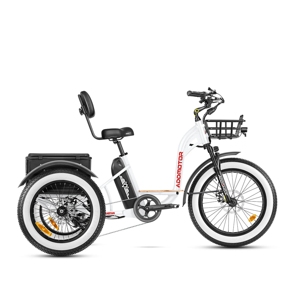 electric motor for 3 wheel bicycle M-340 Electric Fat Trike 2024