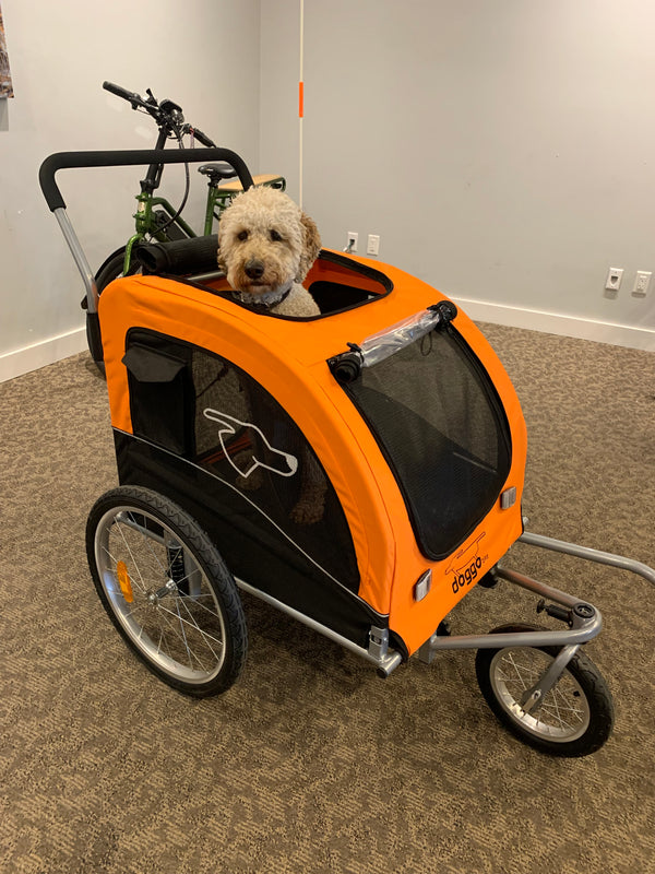 Doggo Bike Cart