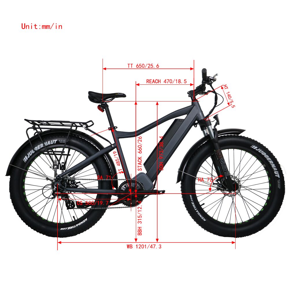 Fat tire electric discount bike 1000w mid drive